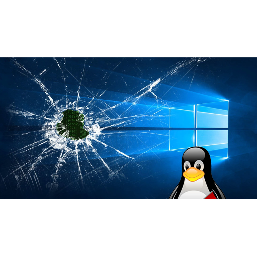 Wissenswertes & Gruseliges